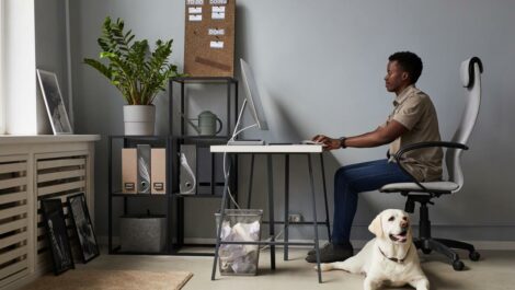 A man works from home in his office with his dog beside him.