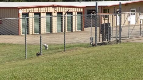 Exterior of security gate at Woodworth Self Storage.