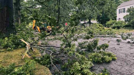 Fallen tree branches block a residential street after a storm.