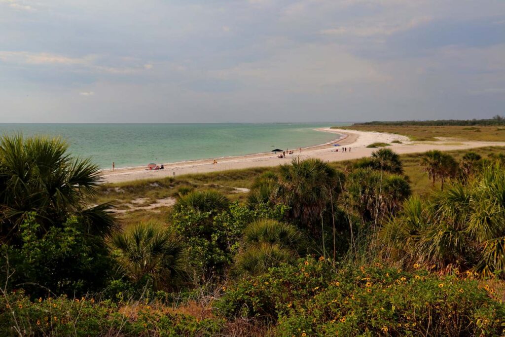 Fort De Soto Park beach in Florida has palm trees, green water, and people walking along the shoreline.