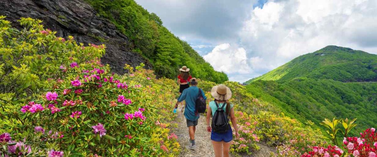 Hikers walk through blooming wildflowers on a mountain trail with green hills and blue skies in the Appalachian Mountains.