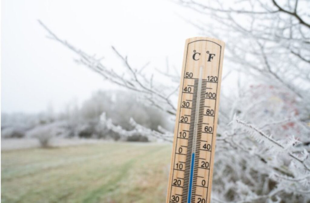Close up of thermometer, at approximately 35 degrees farenheight.